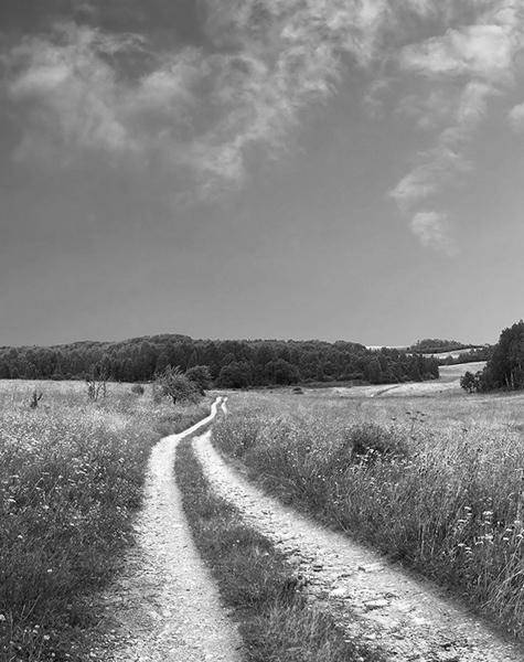 Scenic meadow with a dirt road stretching towards the horizon.